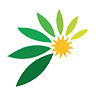 Australian Potash Logo