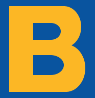 Briscoe Group Australasia Logo