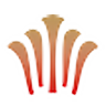 Donaco International Logo