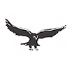 Hawthorn Resources Logo