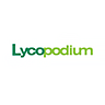 Lycopodium Logo