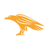 Metal Hawk Logo