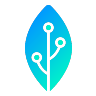 Neurotech International Logo