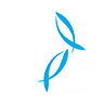 New Zealand King Salmon Investments Logo