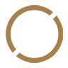 Omni Bridgeway Logo