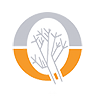 Orion Minerals Logo