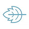 Peppermint Innovation Logo