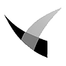 Shine Justice Logo