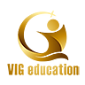 Victor Group Holdings Logo