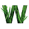 Wattle Health Australia Logo